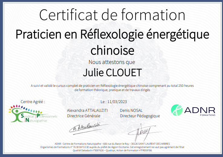 Certificat Reflexologie Energetique Chinoise